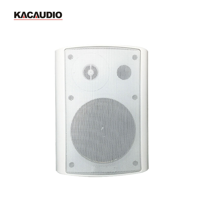 6.5 Inch Tweeter 40W Active Wall Speaker YY124C Built-in Amplifier Bluetooth USB AUX Infrared Remote Home Theater Audio