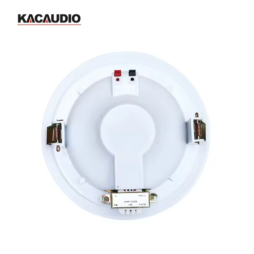 109 6 Inch 10W 100V Bass Subwoofer Ceiling Mount Speaker Factory Direct Price For Classroom Public Address System