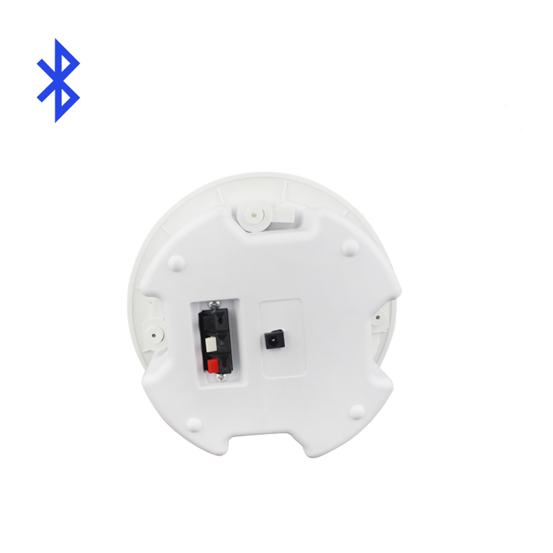 LY801 20W 92dB Active Ceiling Speaker Multi-Scene Sound System for Restaurant Cafe Shopping Mall