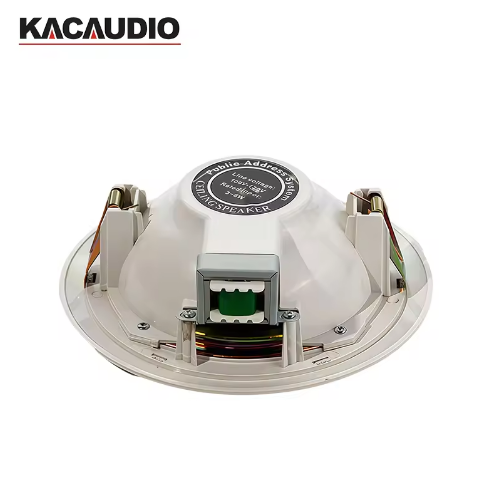 109 6 Inch 10W 100V Bass Subwoofer Ceiling Mount Speaker Factory Direct Price For Classroom Public Address System